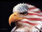 American Eagle